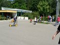 P1310962 (2)